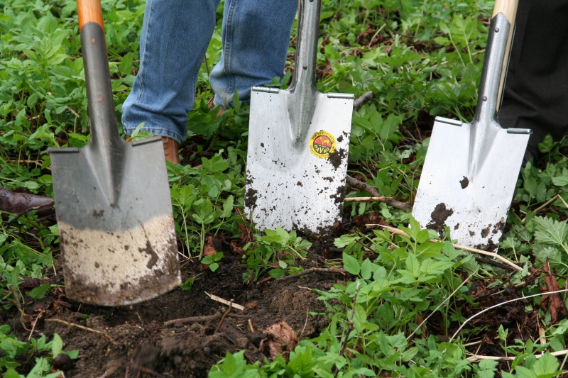 pepiniere-CIPIERES-min_work-lawn-flower-tool-green-backyard-1103633-pxhere.com